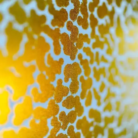 La G - De Standing *