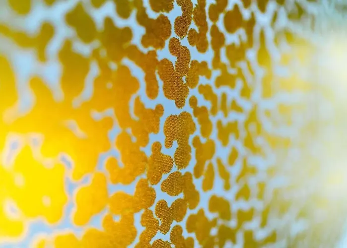 La G - De Standing *